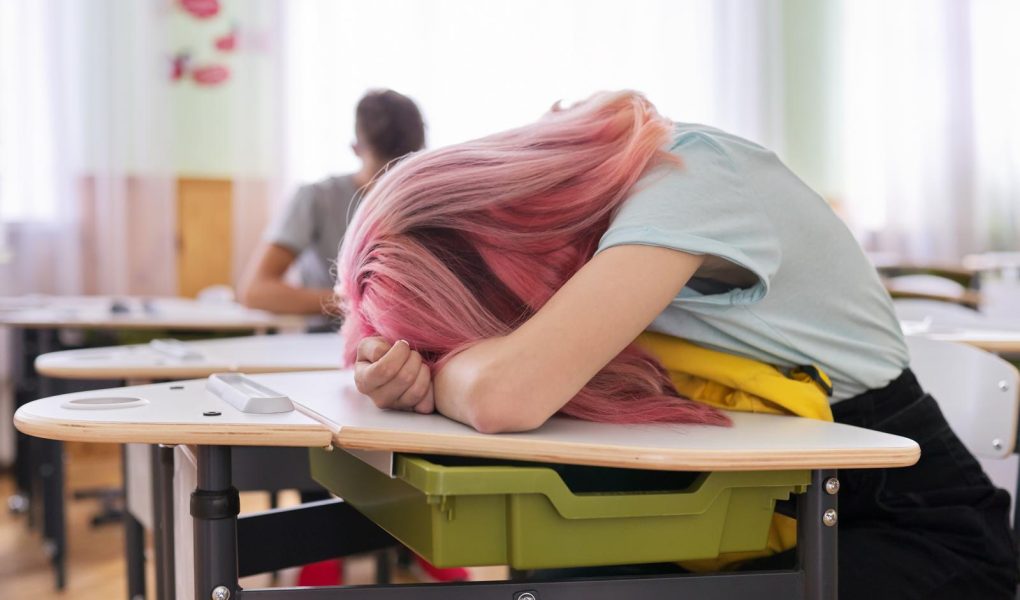 Scuole paritarie a Partinico